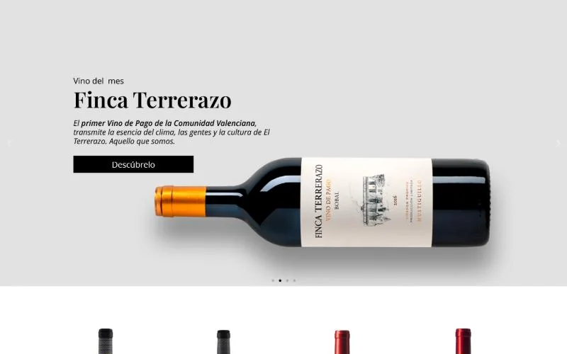 Página de inicio de la web de Mustiguillo